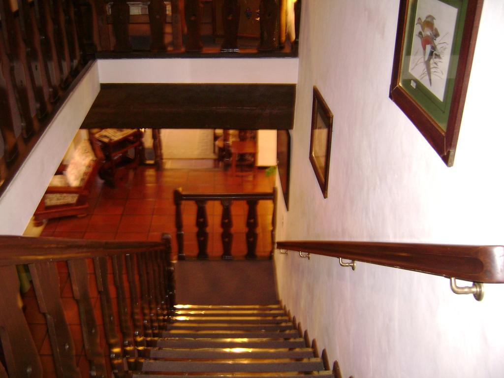 Hosteria La Masia San Martin de los Andes Bagian luar foto